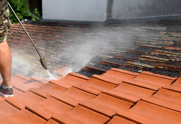 Best Roof Power Washing Services  in Linden, TX