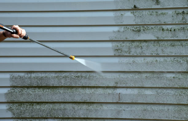 Best House Pressure Washing  in Linden, TX