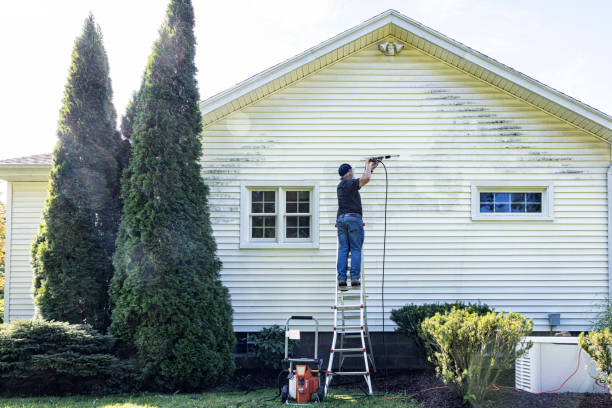Best Power Washing Near Me  in Linden, TX