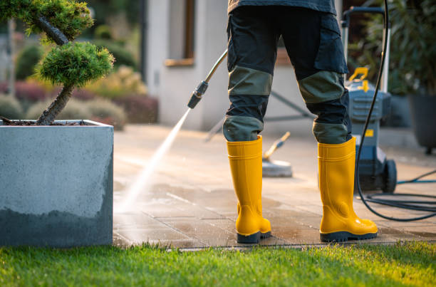 Best Roof Power Washing Services  in Linden, TX